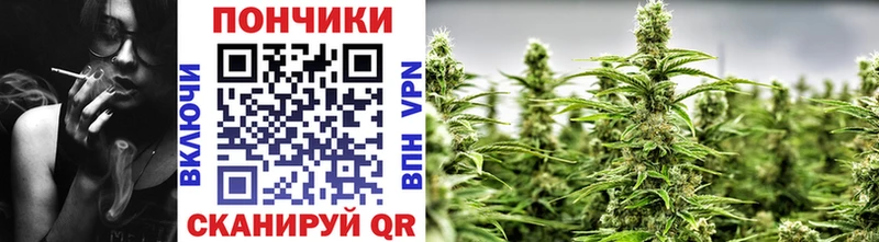 omg маркетплейс цена Калач Бошки марихуана гибрид